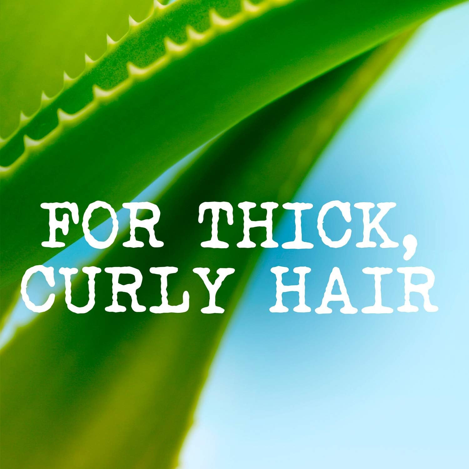 Curl care + coconut oil conditioner 385ml