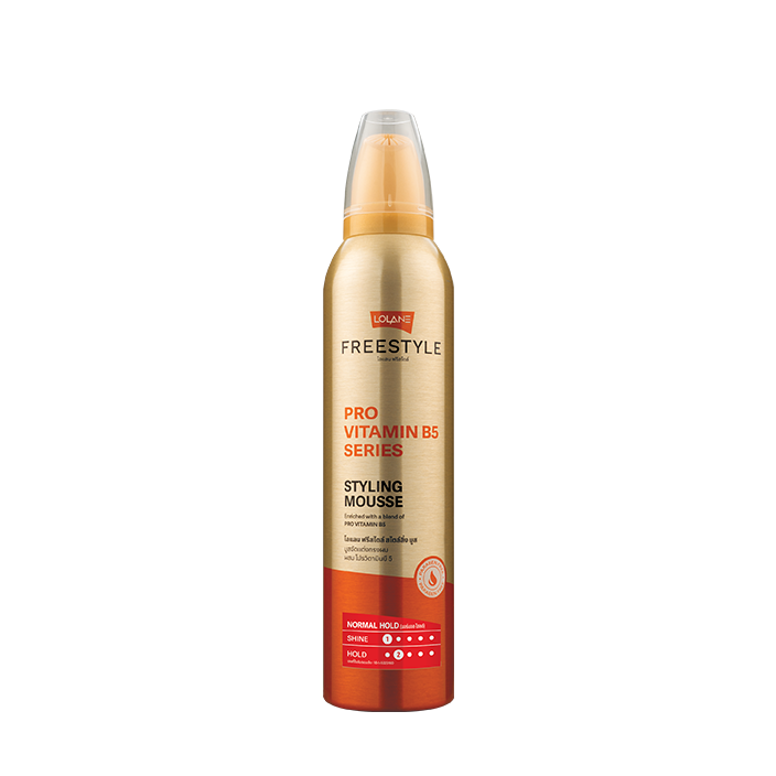 Freestyle styling mousse normal hold 220ml