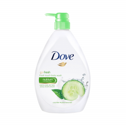 Dove