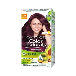 Garnier
