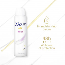 Dove