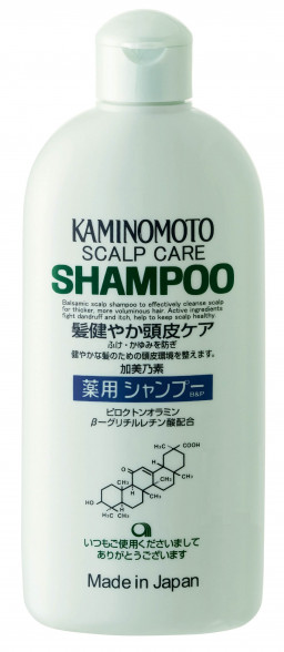 Kaminomoto
